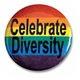 סיכת Celebrate diversity